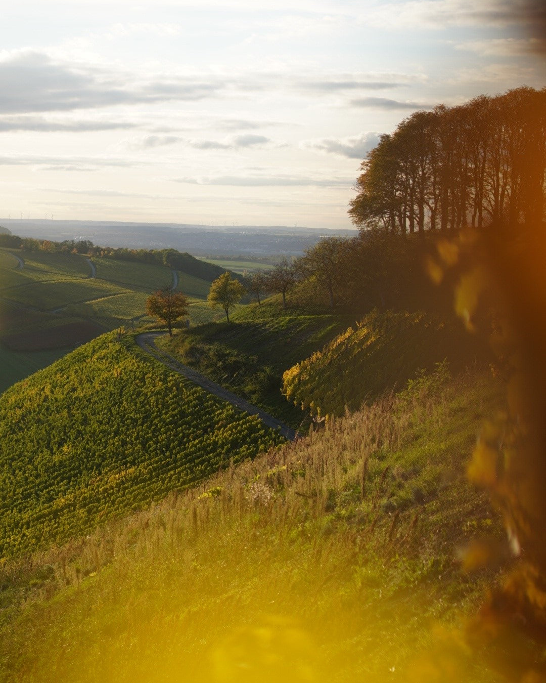 CASTELL IM HERBST ERLEBEN