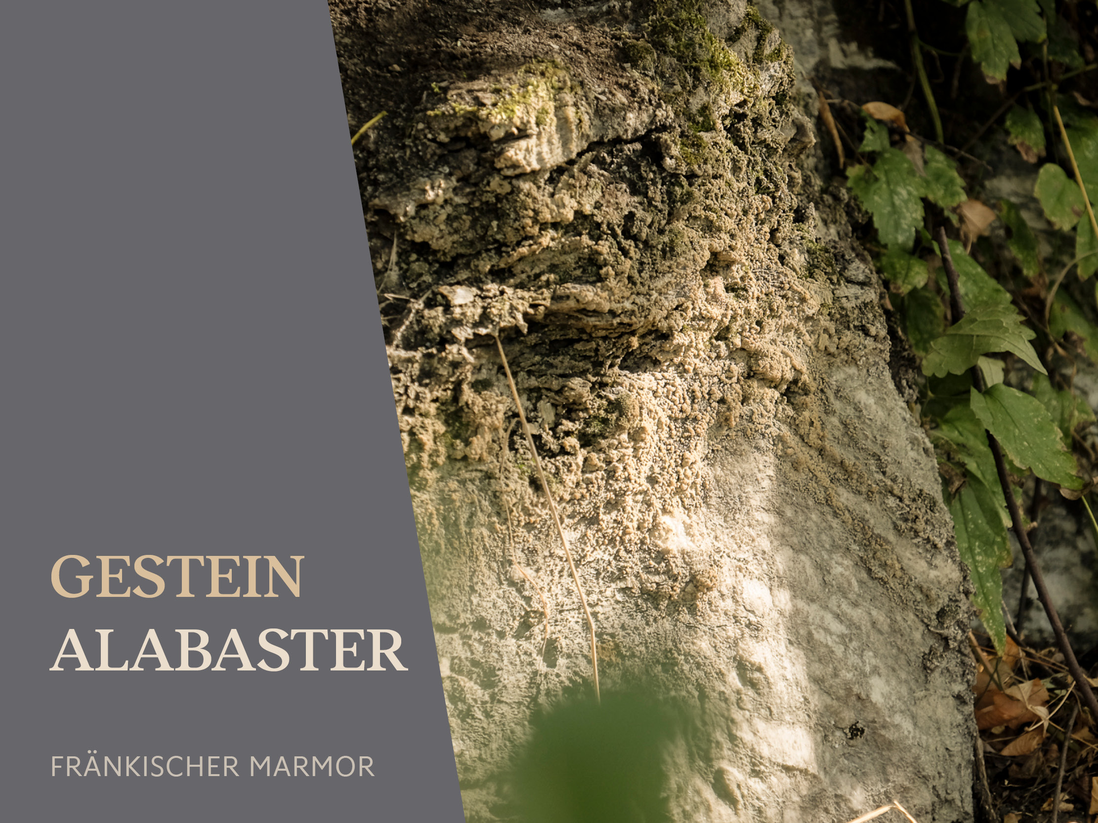 2023 ALABASTER Weisswein trocken 